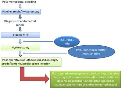 Imaging hypoxia in endometrial cancer: How and why should it be done?